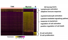 單細胞測序的純生信套路