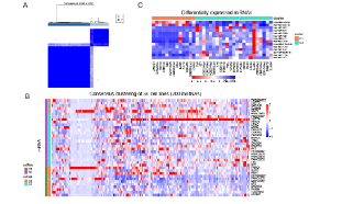 臨床福音|胰腺癌臨床相關分子指紋圖譜