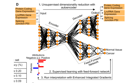 如何通過機器學習模型以舊換新？