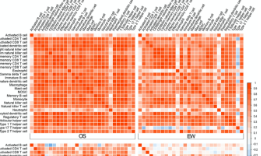 值得參考的6+SCI診斷模型