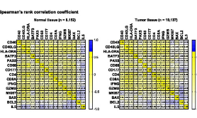 鼠標點點點就能發27+，檸檬樹上檸檬果，檸檬樹下你和我！