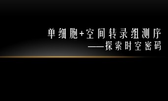 未來已來——單細(xì)胞測(cè)序聯(lián)合空間轉(zhuǎn)錄組測(cè)序（整合篇）
