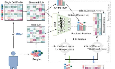 TAPE ：一種基于單細胞轉錄組，推測bulk RNA數據中細胞特異性表達譜和功能富集的快速算法