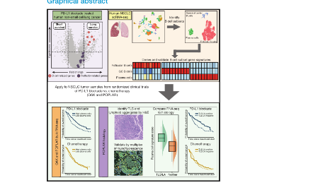 驚！漿細胞竟然可以預測免疫檢查點抑制劑治療應答率！