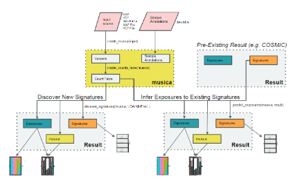 musicatk|突變特征分析R包