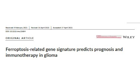 CNS級別鐵死亡思路，純生信