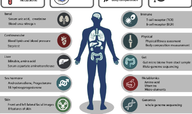 SXR202204044C+Jennifer+研究衰老的全新角度：人體系統的多個“時鐘”