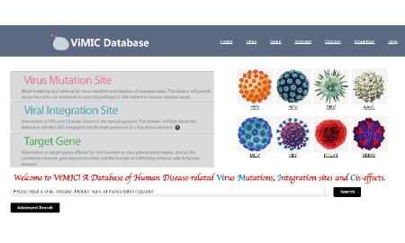 ViMIC—病毒突變、整合及順式效應(yīng)數(shù)據(jù)庫
