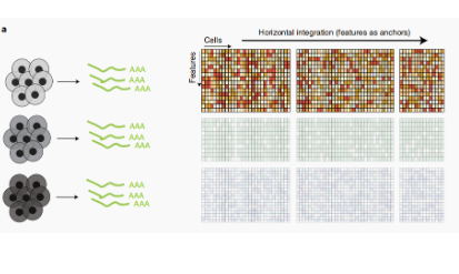 NBT-單細胞多組學數據整合綜述