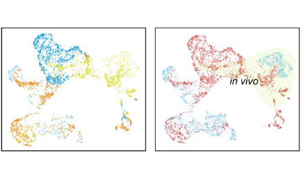 SXR202205034C-哈哈-單細胞測序竟然可以助力類器官模型評估？！
