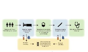局部晚期胃癌新輔助治療及其潛在生物標(biāo)志物