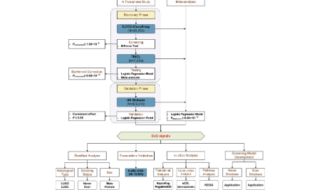 全基因組范圍內的基因-基因互作研究