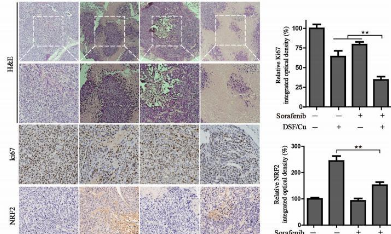 別讓“銅死亡”成為你的“痛點”