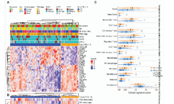 可切除 NSCLC 中與宿主腫瘤免疫、新輔助化療和化學免疫療法相關的獨特免疫基因程序