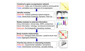 圖解_WGCNA那么多圖，都啥意思？
