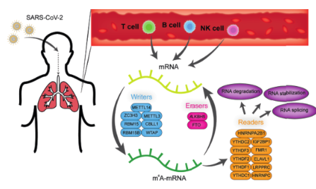 純生信！到底是為什么，我怎么就抓不住這樣的熱點呢？