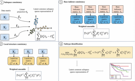 十月最新癌癥亞型分類算法subtype-weslr:用多視圖數據的加權集合稀疏潛在表示來識別癌癥亞型