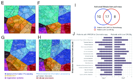 當(dāng)油膩的“Meta”碰上純潔的“生信”，會(huì)擦出什么樣的火花？