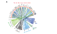 SXR2023030022C_13+的細胞互作思路推薦