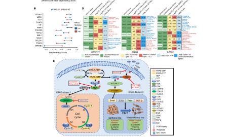 多組學研究思路，用數據決定高度
