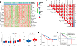 6+純生信好文：多組學+脂質代謝+預后模型