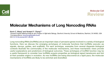 正兒八經讀Review 第三期