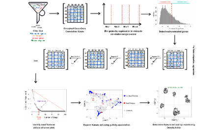 DUBStepR——一種用于單細胞數據聚類的新算法
