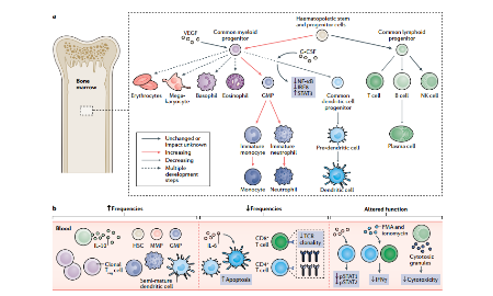 要想課題做的好，免疫分析知多少