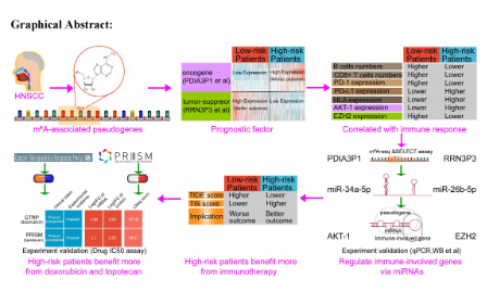 雙熱點(diǎn)分析帶你沖上11分，就是這么簡(jiǎn)單！
