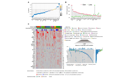 經典壞死性凋亡生信思路