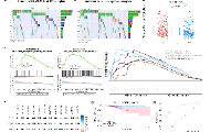 你所不知道的6+ LncRNA 結合免疫思路