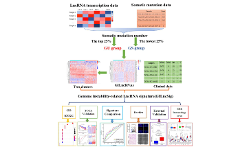 預后模型依舊可以新穎奪目