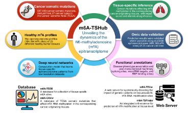 最新的組織特異性m6A數據庫介紹