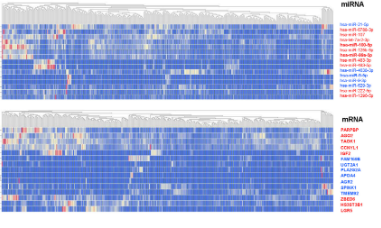 熱點剖析：8+純生信ceRNA機制分析
