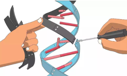 走進(jìn)科學(xué)之探秘上帝的手術(shù)刀