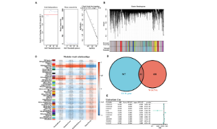 SXR202305012C-ClearLove-人人都會的5+生信發文思路了解一下？