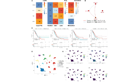 肌肉衰竭指數竟可預測肺腺癌預后和免疫治療？