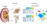 Nature Genetics高分燒腦研究，基因組對(duì)潛在藥物治療的關(guān)鍵作用