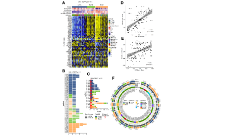 純生信腫瘤分型怎么發到12+？