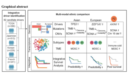 SXR202205020C + 基因組不穩(wěn)定性會(huì)導(dǎo)致癌癥的種族差異？