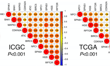 bulk轉錄組結合單細胞轉錄組數據構建肝癌預后模型