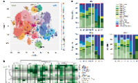 Nature?Immunology:揭示人類組織的記憶T細胞的圖譜