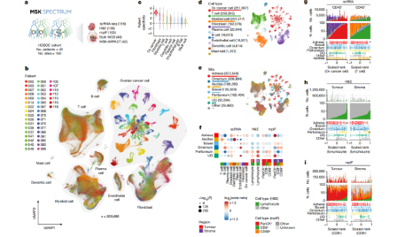 跟著nature學習如何探究腫瘤免疫逃逸形成機制
