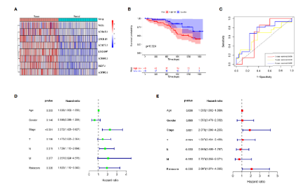 SXR202206005C+7分+PCD相關lncRNA預后模型構建