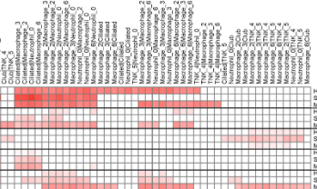 熱點中的熱點--新冠病毒