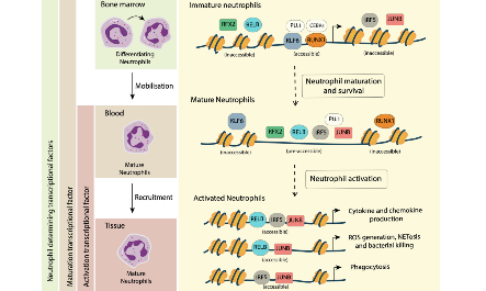 待解決的不僅是熱點問題，還有經典問題~