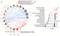 鐵死亡+頭頸部鱗狀細胞癌預后模型