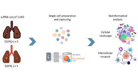 SXR202202010C 課題還沒有思路？scRNA-seq結合常見突變的研究策略
