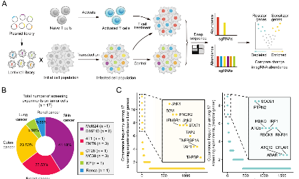 不做實驗坐火箭，腫瘤免疫治療和CRISPR的夢幻聯(lián)動帶你沖上37+的天堂