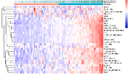 葡萄黑色素瘤腫瘤微環(huán)境研究